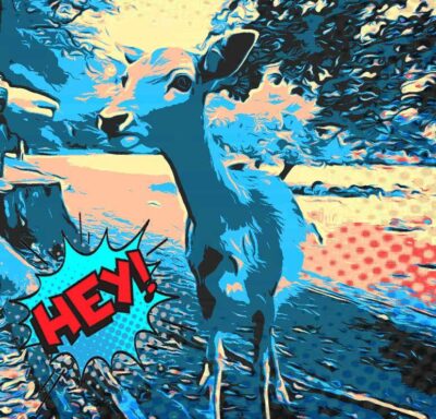 bambi1